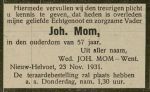 Mom Johannes-NBC-24-11-1931  (251G  Aaltje Went).jpg
